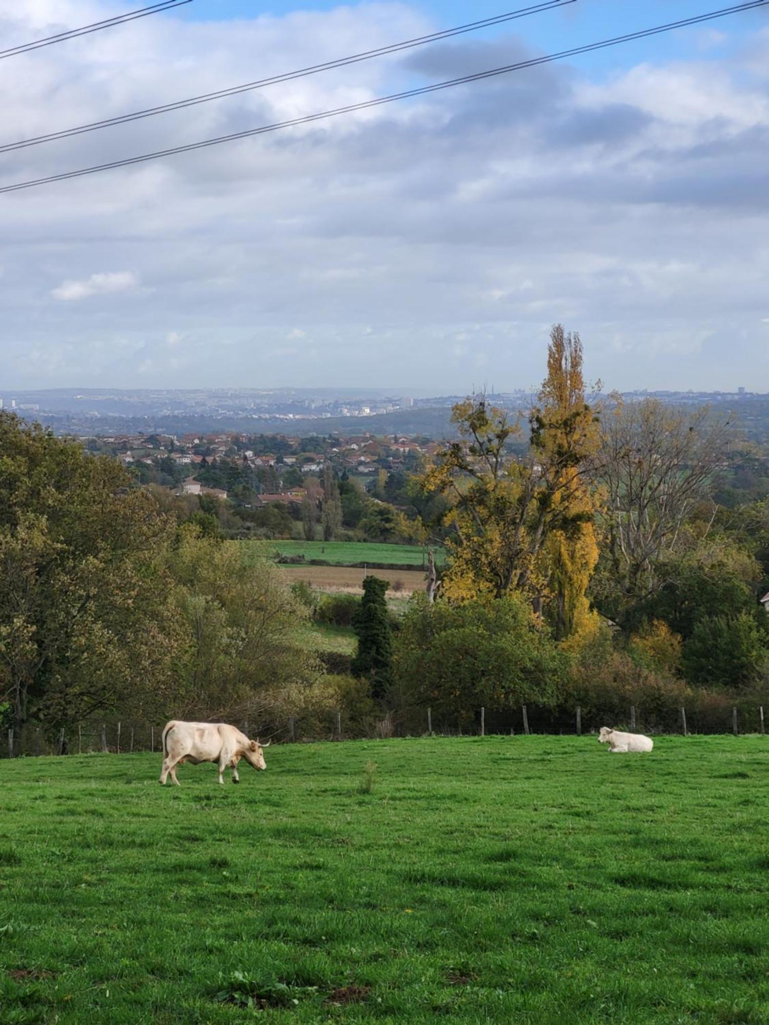 Le Clos Lassagne A - Lyon Sud *